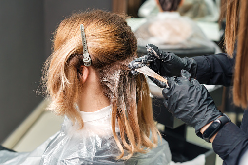Hairdresser in black gloves is dyeing a woman's hair. Hairdresser is applying color cream at hair. Painting hair.